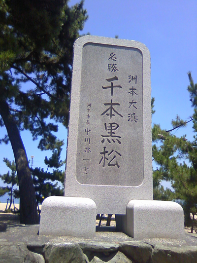 千本黒松.jpg